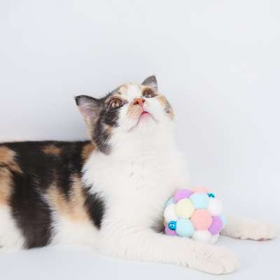 Wholesale Pet Toy Good Quality Plush Sounding Bell Ball Scratch Resistant Funny Ball Cat Toy